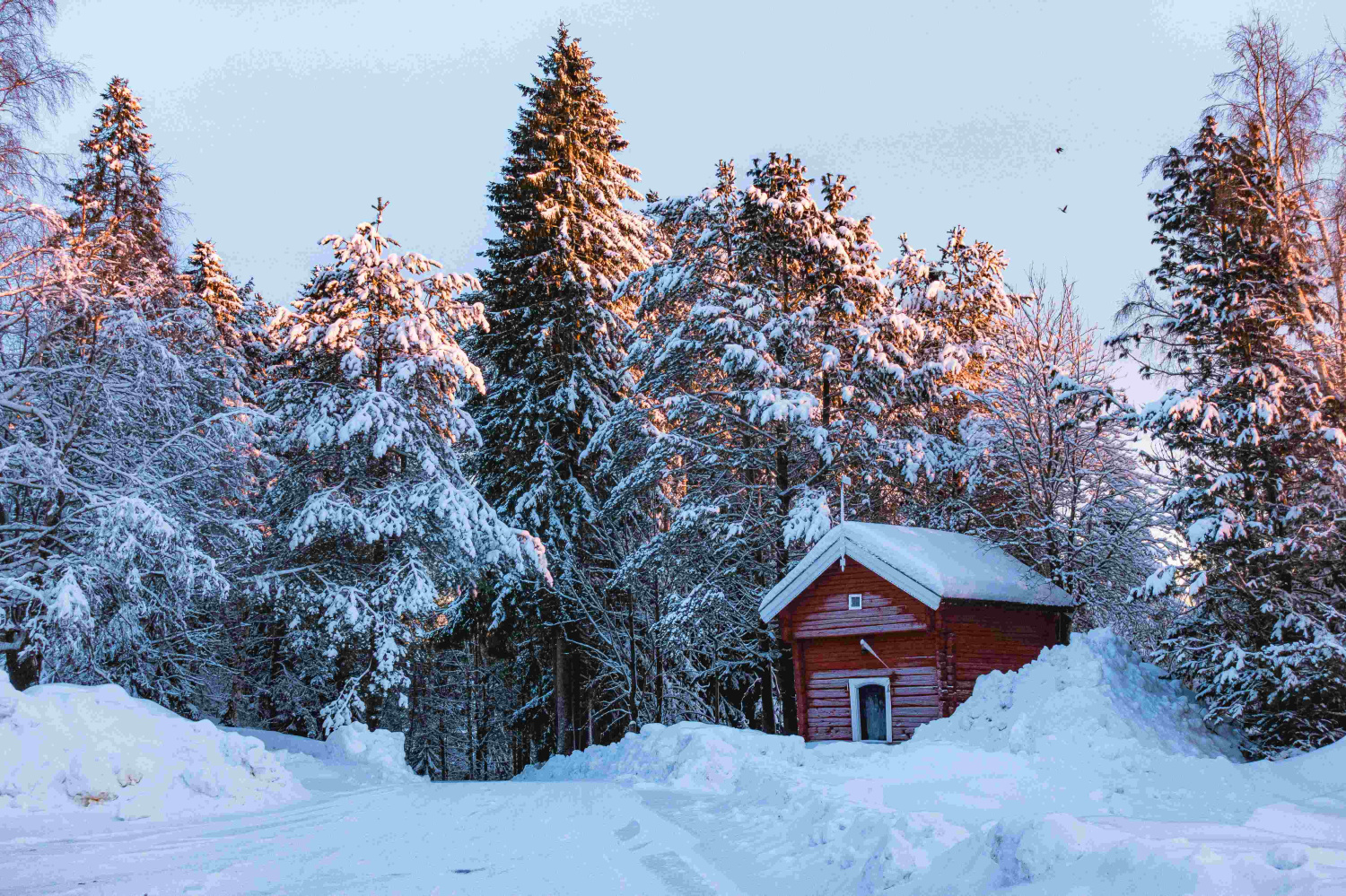 1–7 декабря 